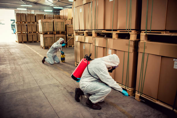 Best Pest Control for Homes  in Colstrip, MT