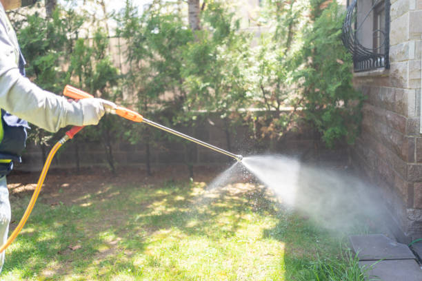 Best Residential Pest Control  in Colstrip, MT