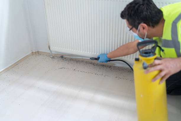 Best Residential Pest Control  in Colstrip, MT